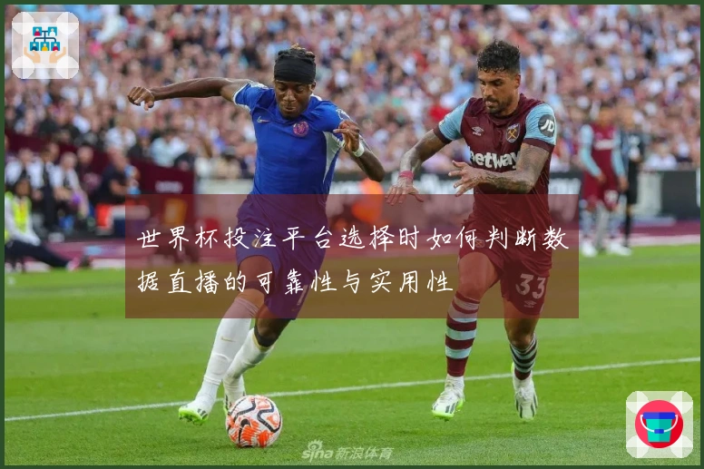 世界杯投注平台选择时如何判断数据直播的可靠性与实用性