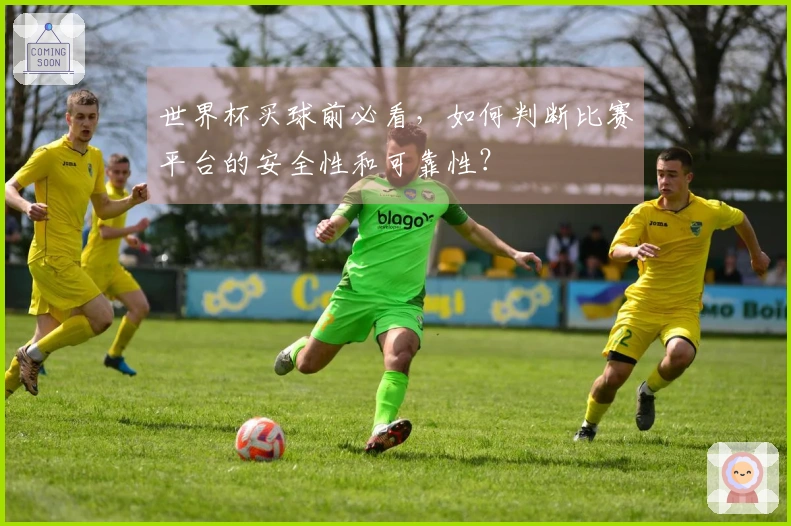 世界杯买球前必看，如何判断比赛平台的安全性和可靠性？