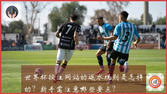世界杯投注网站的返水规则是怎样的？新手需注意哪些要点？