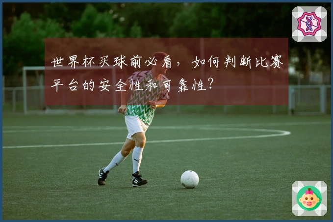 世界杯买球前必看，如何判断比赛平台的安全性和可靠性？