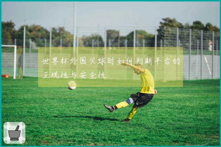 世界杯外围买球时如何判断平台的正规性与安全性