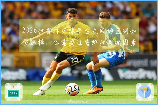 2026世界杯买球平台之间的区别如何选择，你需要注意哪些关键因素