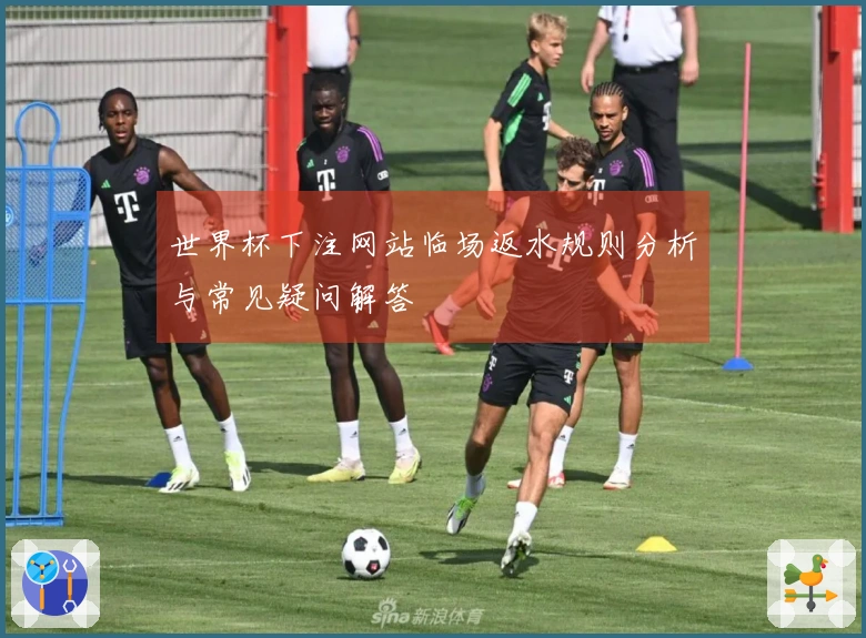 世界杯下注网站临场返水规则分析与常见疑问解答