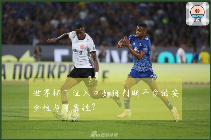 世界杯下注入口如何判断平台的安全性与可靠性？