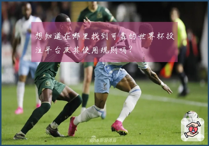 想知道在哪里找到可靠的世界杯投注平台及其使用规则吗？