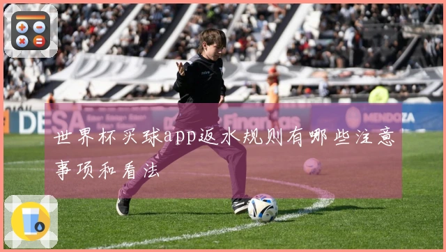 世界杯买球app返水规则有哪些注意事项和看法