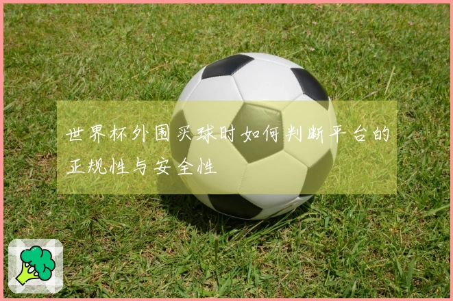 世界杯外围买球时如何判断平台的正规性与安全性
