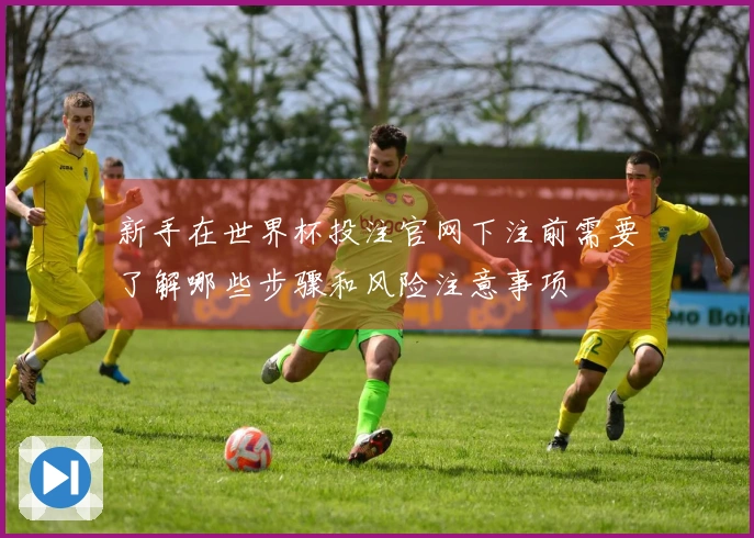 新手在世界杯投注官网下注前需要了解哪些步骤和风险注意事项