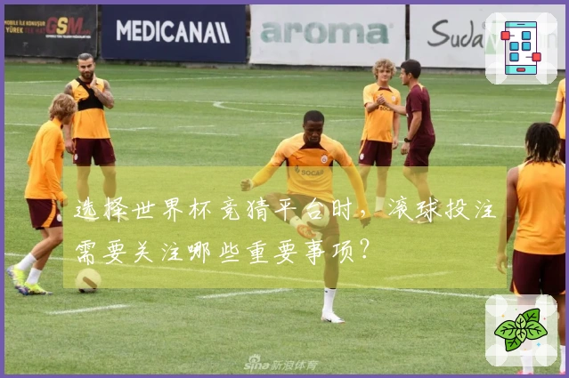 选择世界杯竞猜平台时，滚球投注需要关注哪些重要事项？