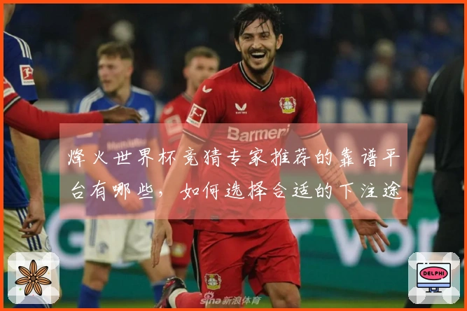 烽火世界杯竞猜专家推荐的靠谱平台有哪些，如何选择合适的下注途径？