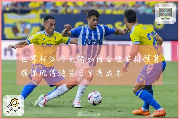 世界杯体彩竞猜如何合理安排预算确保玩得稳妥且节省成本