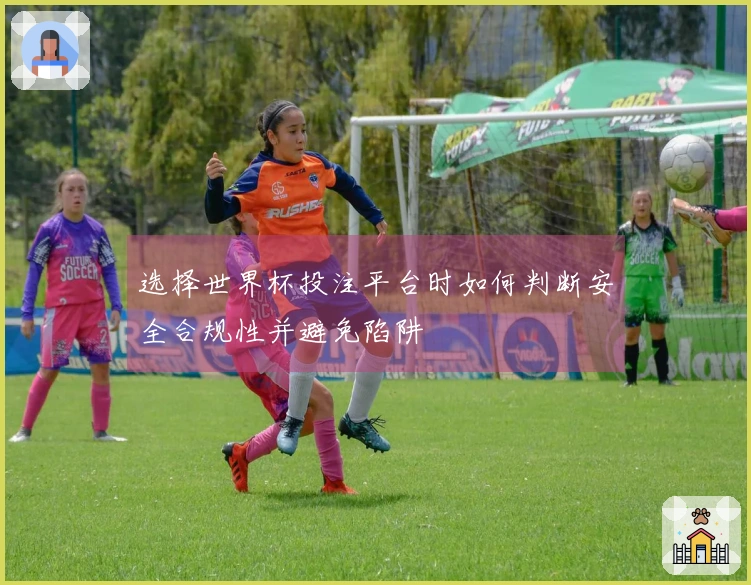 选择世界杯投注平台时如何判断安全合规性并避免陷阱