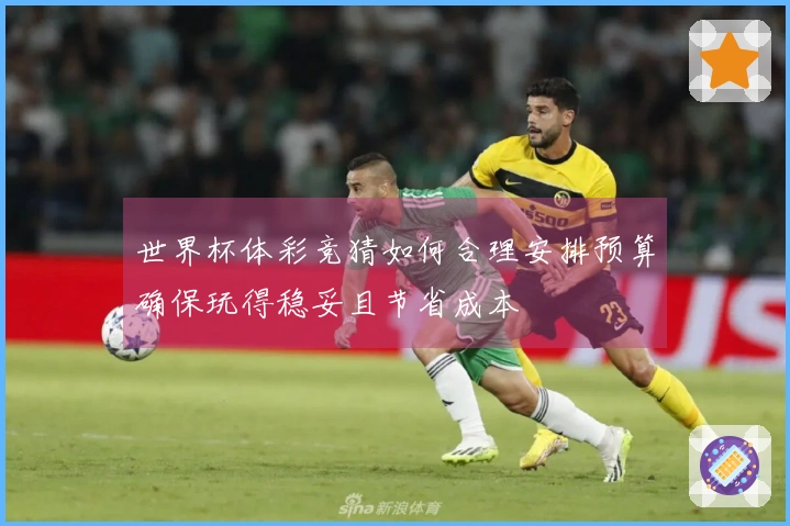世界杯体彩竞猜如何合理安排预算确保玩得稳妥且节省成本