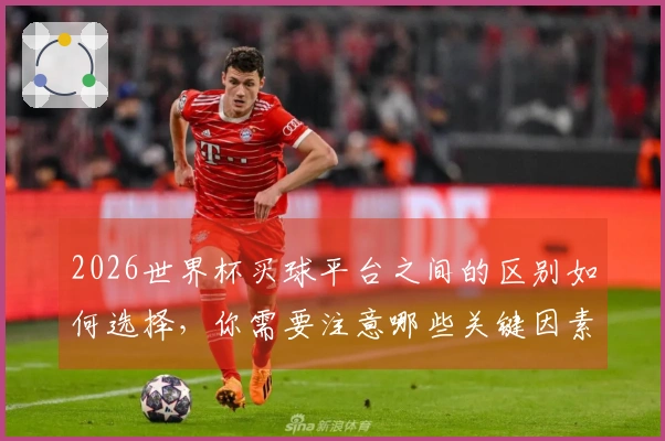 2026世界杯买球平台之间的区别如何选择，你需要注意哪些关键因素