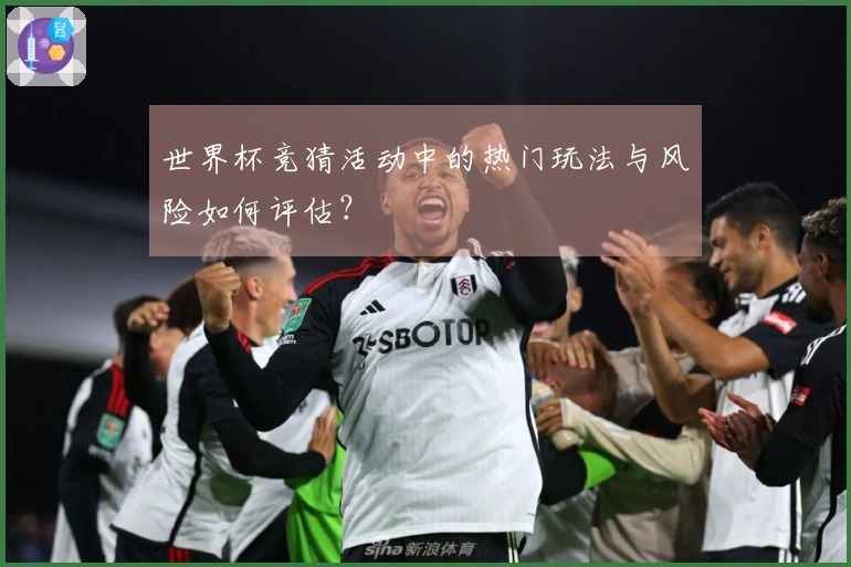世界杯竞猜活动中的热门玩法与风险如何评估？