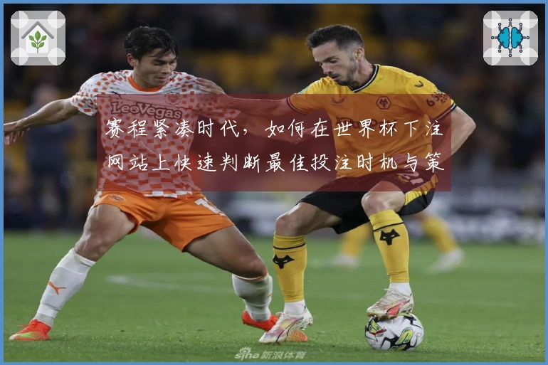 赛程紧凑时代，如何在世界杯下注网站上快速判断最佳投注时机与策略