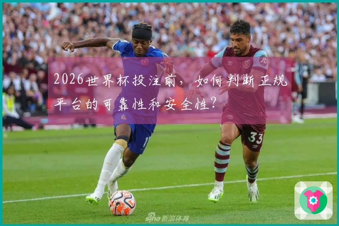 2026世界杯投注前，如何判断正规平台的可靠性和安全性？