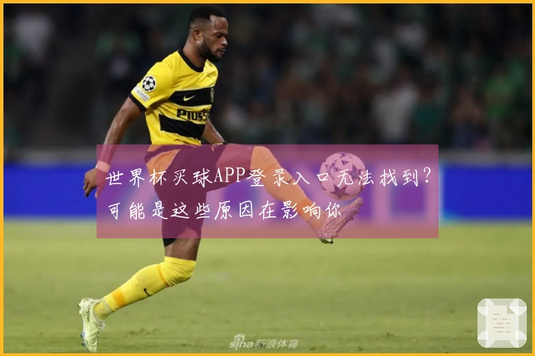 世界杯买球APP登录入口无法找到？可能是这些原因在影响你