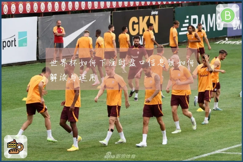 世界杯如何下注时盘口信息该如何解读与运用