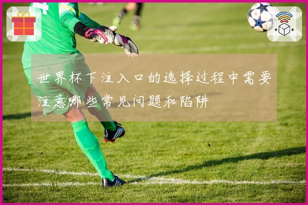 世界杯下注入口的选择过程中需要注意哪些常见问题和陷阱