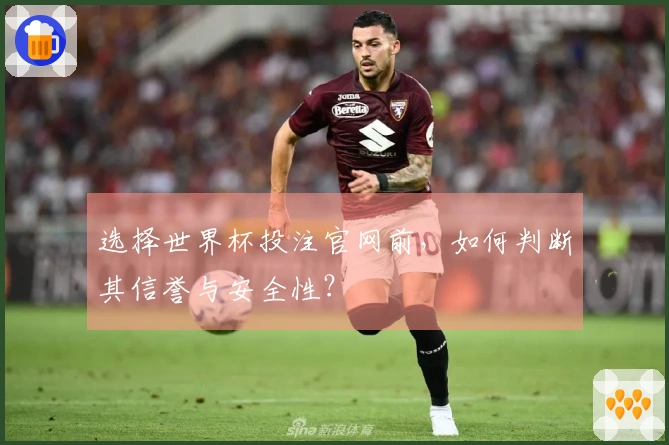 选择世界杯投注官网前，如何判断其信誉与安全性？