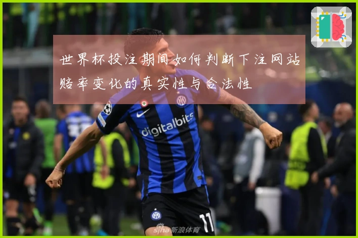 世界杯投注期间如何判断下注网站赔率变化的真实性与合法性