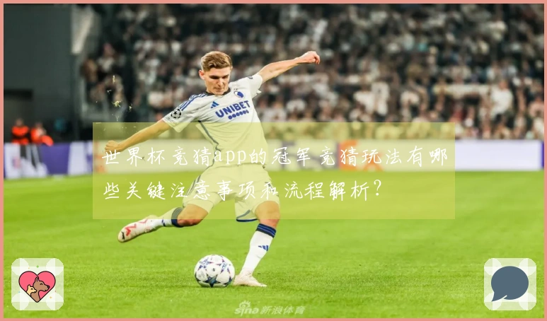 世界杯竞猜app的冠军竞猜玩法有哪些关键注意事项和流程解析？