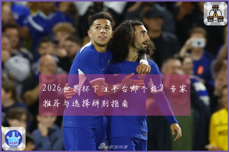 2026世界杯下注平台哪个好？专家推荐与选择辨别指南